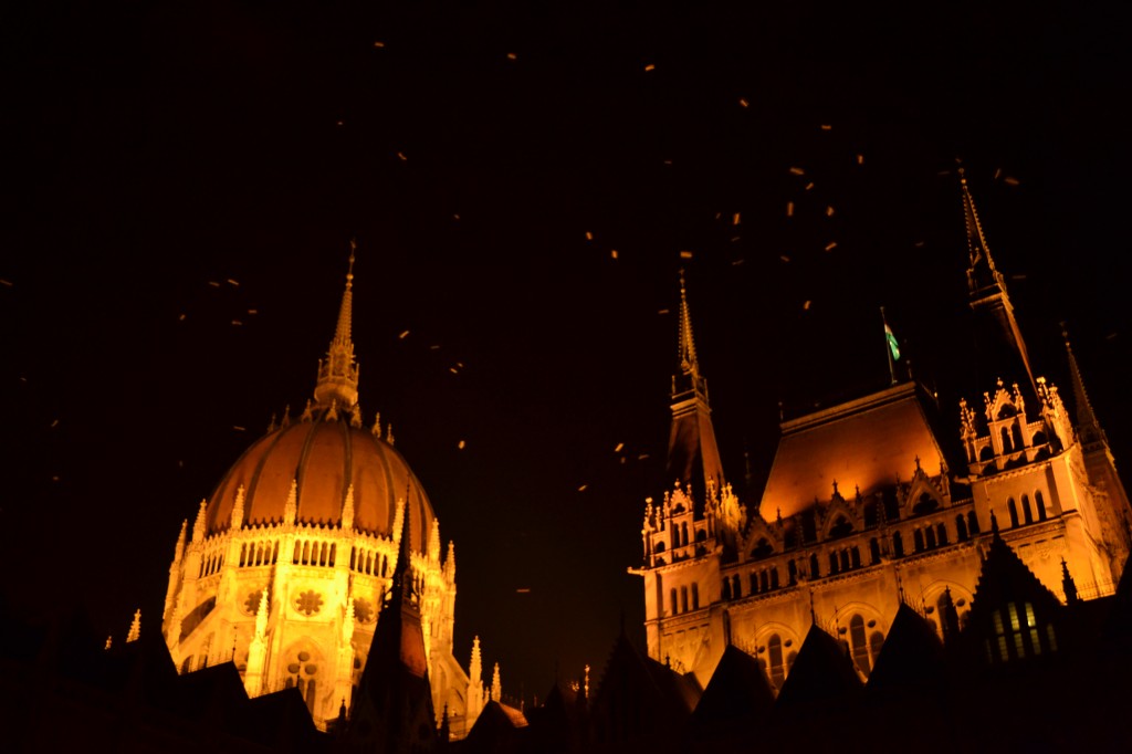 parlement de budapest la nuit oiseaux